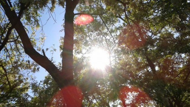 <p>
	<em>Снимка: Investor.bg</em></p>
