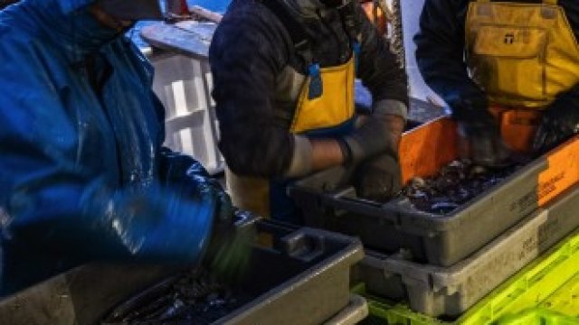 <p>
	<em>Снимка: Bloomberg LP</em></p>
