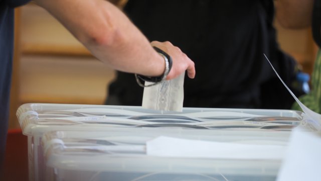 Снимка: БГНЕС/СТЕФАН ВАСИЛЕВ