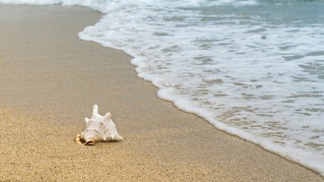 <p>
	<em>Снимка: Pixabay</em></p>
