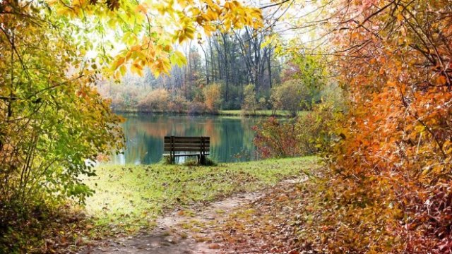 <p>
	<em>Снимка: Pixabay</em></p>
