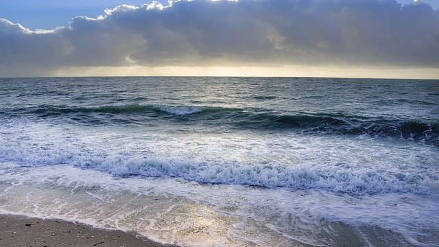 <p>
	<em>Снимка: Pixabay</em></p>
