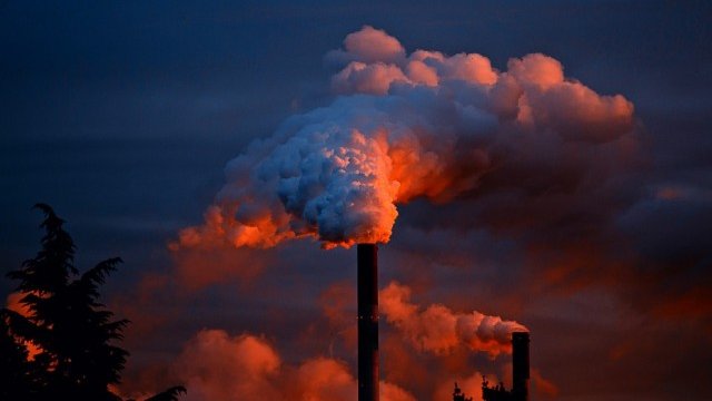 <p>
	<em>Снимка: Pixabay</em></p>
