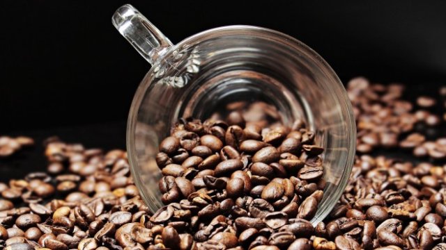 <p>
	<em>Снимка: pixabay.com</em></p>
