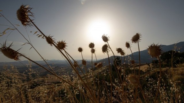 <p>
	<em>Снимка: Bloomberg L.P.</em></p>
