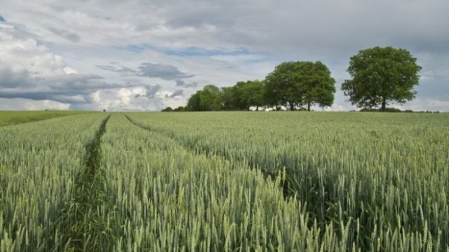 <p>
	<em>Снимка: Pixabay</em></p>
