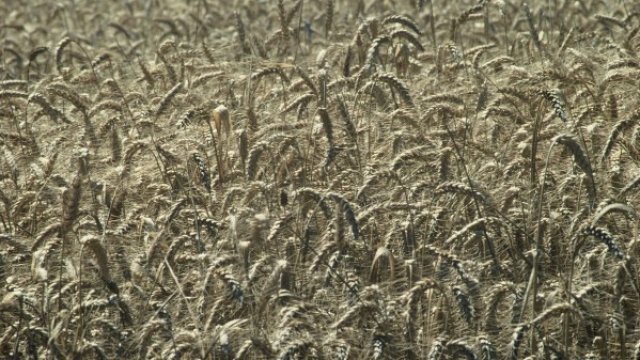 <p>
	Снимка: <em>ЕК</em></p>
