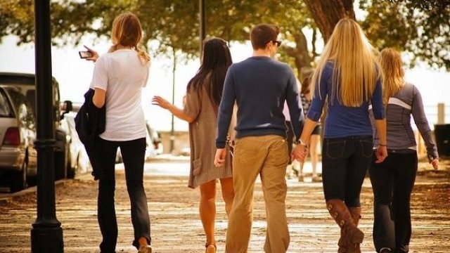 <p>
	<em>Снимка: Pixabay</em></p>
