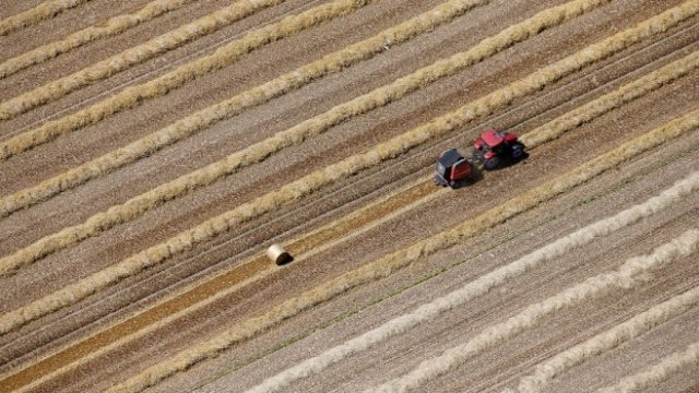 <p>
	Снимка:<em> Архив Ройтерс</em></p>
