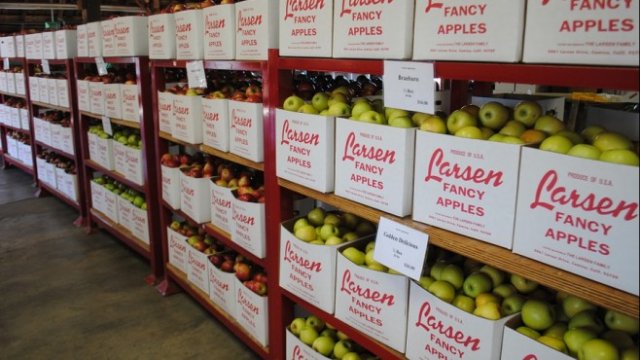 <p>
	<em>Снимка: Pixabay</em></p>
