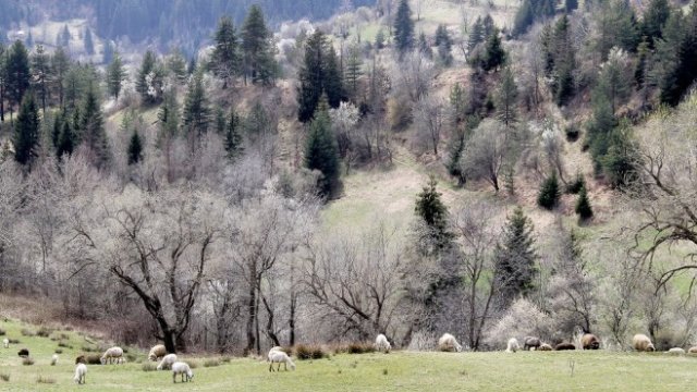 <p>
	<em>Снимка: БТА</em></p>
