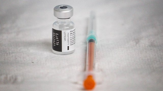 <p>
	<em>Снимка: Димитър Кьосемарлиев, Investor Media Group</em></p>
