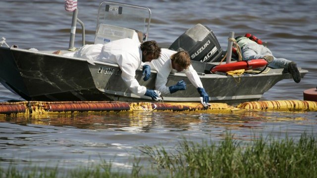 <p>
	Екипи проверяват щетите от разлива през 2010 г. <em>Снимка: Архив Ройтерс</em></p>
