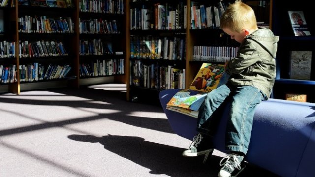 <p>
	<em>Снимка: Pixabay</em></p>
