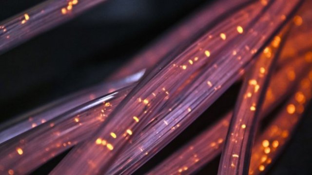 <p>
	<em>Снимка: Pixabay</em></p>
