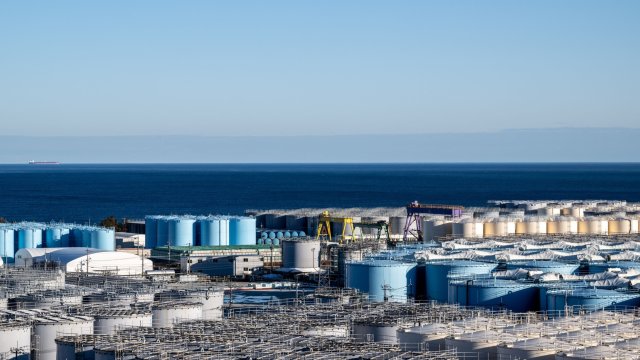 Снимка: Bloomberg LP