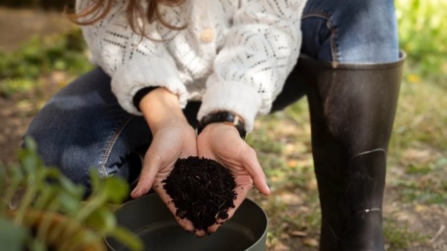 Снимка: Pixabay