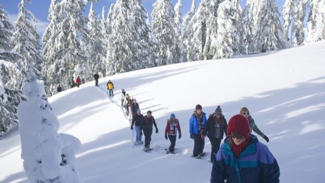 <p>
	<em>Снимка: Pixabay</em></p>
