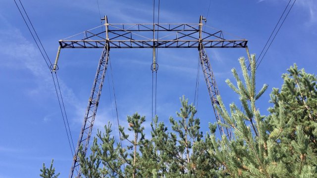 Снимка: Investor.bg