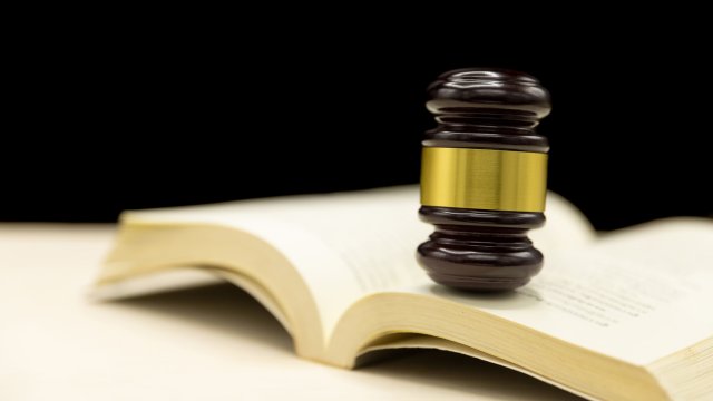 Снимка: freepik.com