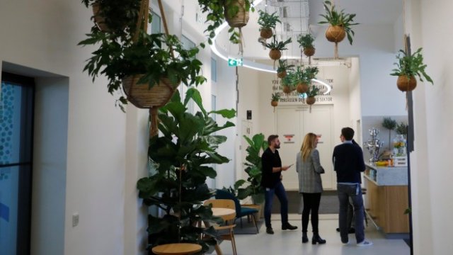 <p>
	Офисът на Google в Берлин. <em>Снимка: Ройтерс</em></p>
