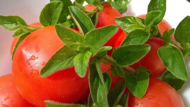 <p>
	<em>Снимка: Pixabay</em></p>
