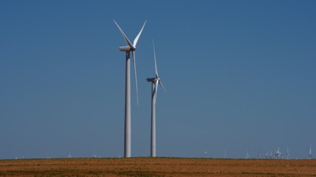 <p>
	<em>Снимка: Ройтерс</em></p>
