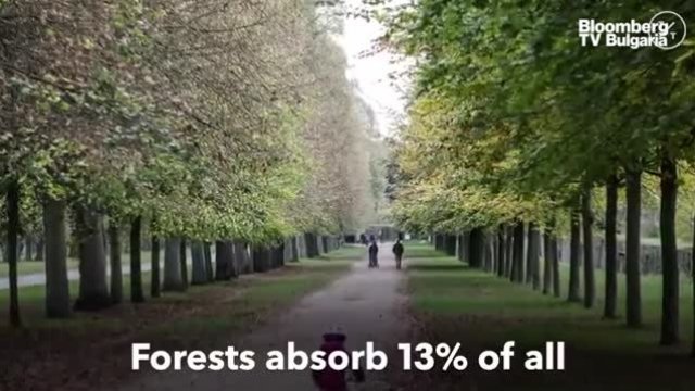 <p>
	<em>Снимка: Bloomberg TV Bulgaria</em></p>
