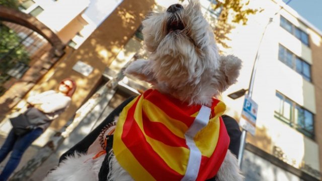 <p>
	Хората в Каталуния остават дълбоко разделени за бъдещото политическо управление на провинцията. <em>Снимка: Ройтерс</em></p>
