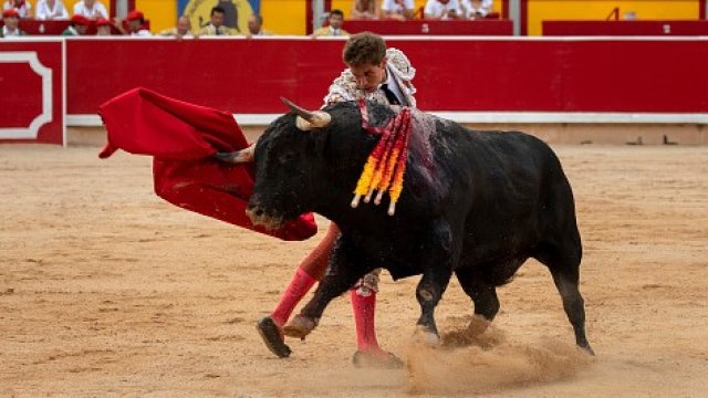 <p>
	<em>Снимка: gettyimages</em></p>
