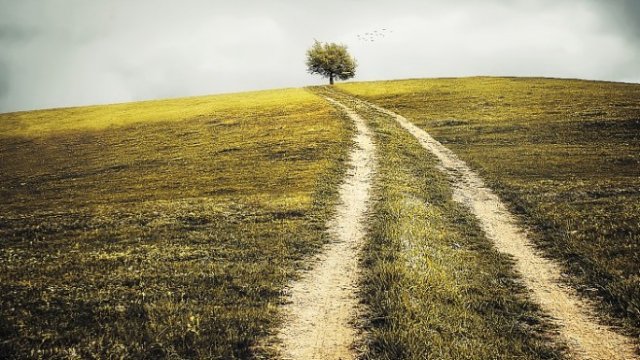 <p>
	<em>Снимка: Pixabay</em></p>
