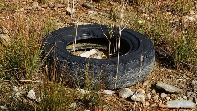 <p>
	<em>Снимка: Pixabay</em></p>
