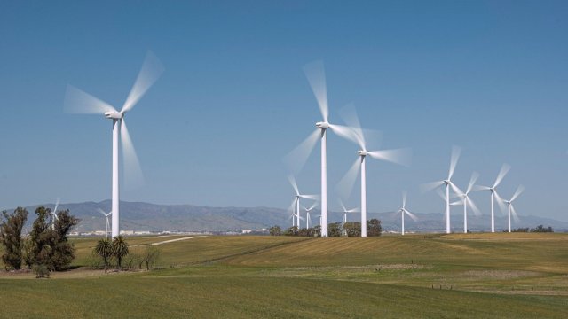 Снимка: Bloomberg LP