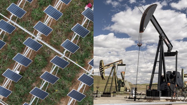 Изображение: Bloomberg LP