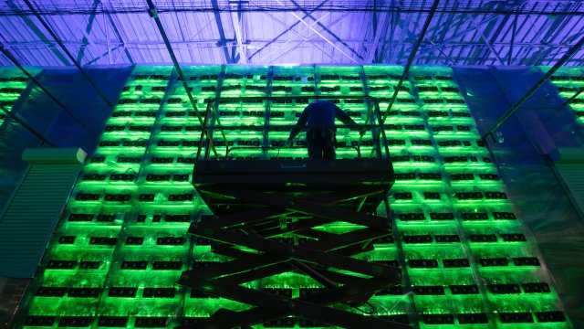 Снимка: Bloomberg LP