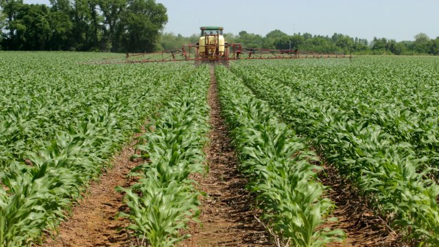 Снимка: Bloomberg