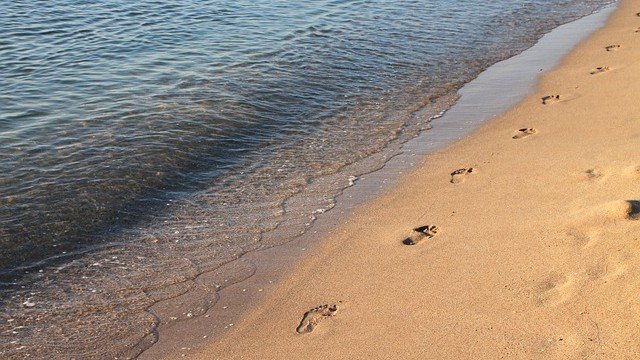 <p>
	<em>Снимка: Pixabay</em></p>
