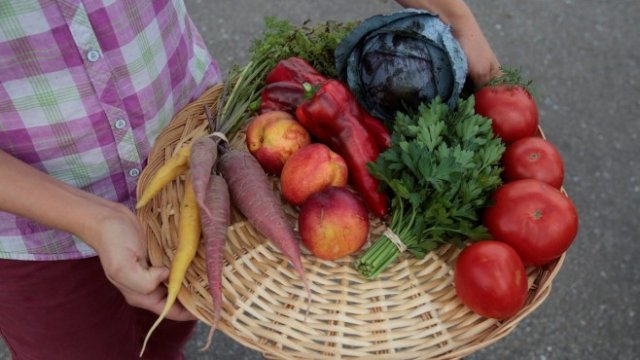 <p>
	<em>Снимка: Архив Ройтерс</em></p>
