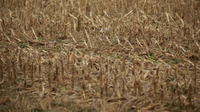 <p>
	<em>Снимка: Luke Sharrett/Bloomberg</em></p>
