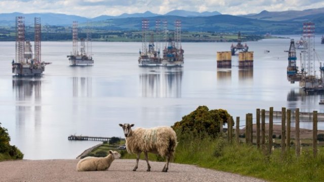 <p>
	<em>Снимка: Bloomberg</em></p>
