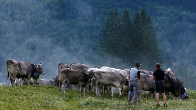 <p>
	<em>Снимка: Архив Ройтерс</em></p>
