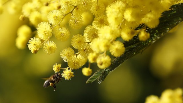 Снимка: EPA/БГНЕС