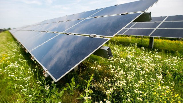 Снимка: Bloomberg LP