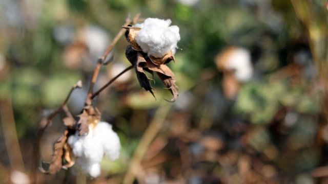 <p>
	<em>Източник: Ройтерс</em></p>
