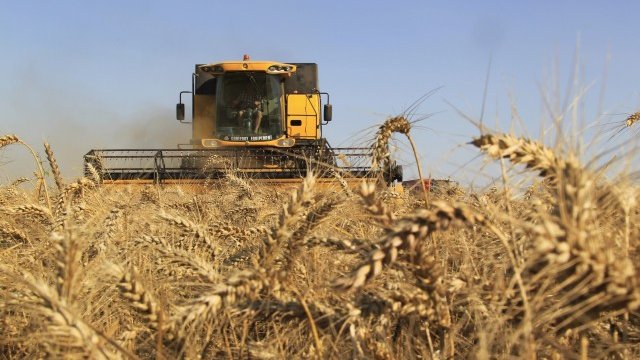 <p>
	<em>Снимка: Ройтерс</em></p>
