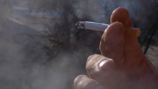 <p>
	<em>Снимка: Pixabay</em></p>
