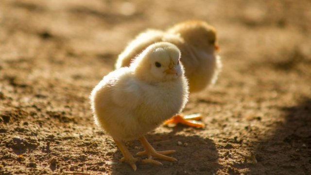 <p>
	<em>Снимка:&nbsp;unsplash.com</em></p>
