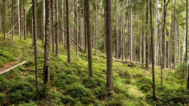 Снимка: Bloomberg LP