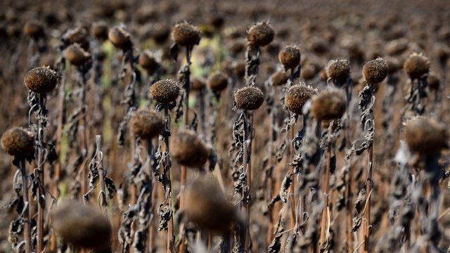 Снимка: БГНЕС/ЕПА