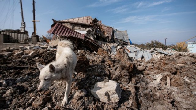 <p>
	<em>Снимка: Bloomberg L.P.</em></p>
